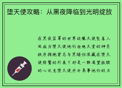 堕天使攻略：从黑夜降临到光明绽放